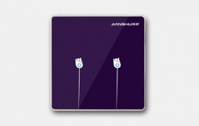 藝術(shù)開關(guān)GS-XWKG 